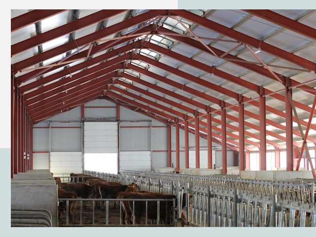 Строительство коровников в Новодвинске