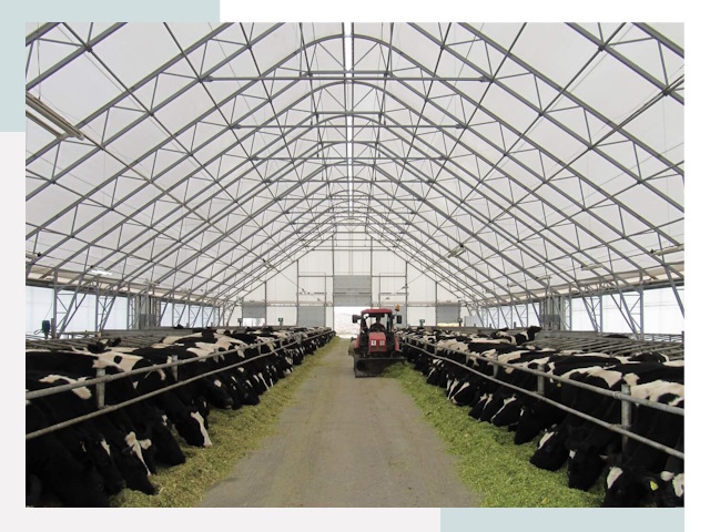 Тентовые коровники в Новодвинске от 614 руб. - Надежно и доступно