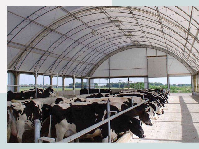 Тентовые коровники в Новодвинске